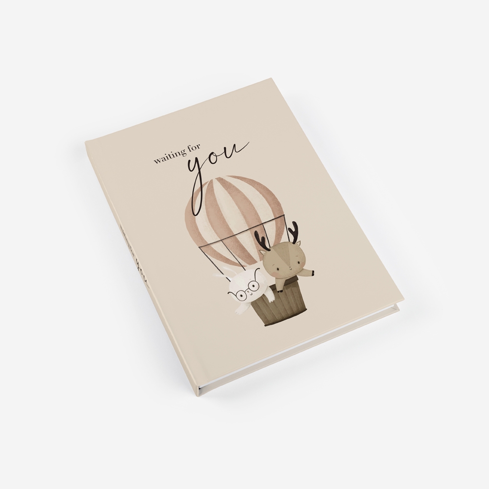 Álbum Waiting for You 3